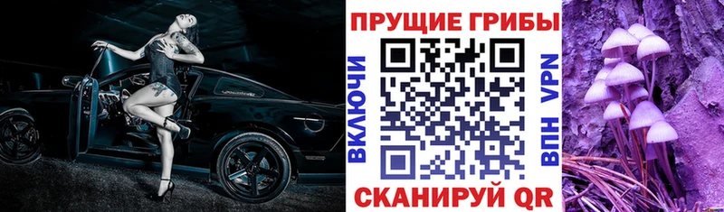 Псилоцибиновые грибы MAGIC MUSHROOMS  Магас 